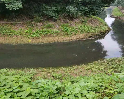 自贡河道生态修复