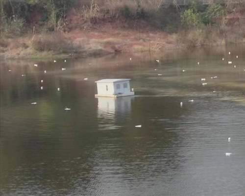 资阳饮用水源地生态修复